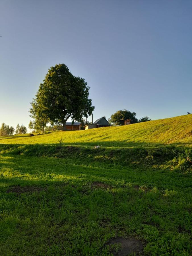 Forest Lake Villa Kscava Bagian luar foto